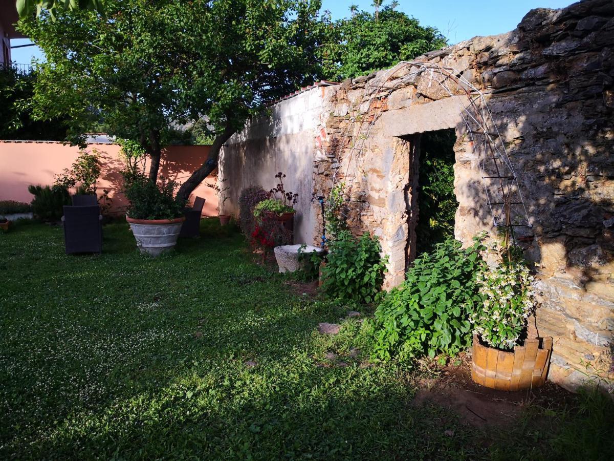 Zia Chiarina Bed & Breakfast San Nicolo Gerrei Dış mekan fotoğraf