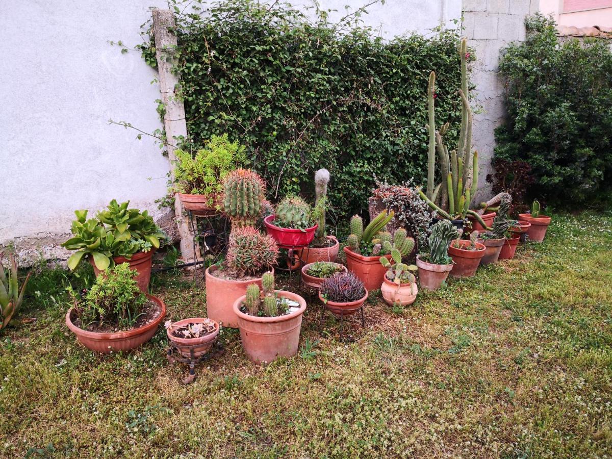 Zia Chiarina Bed & Breakfast San Nicolo Gerrei Dış mekan fotoğraf