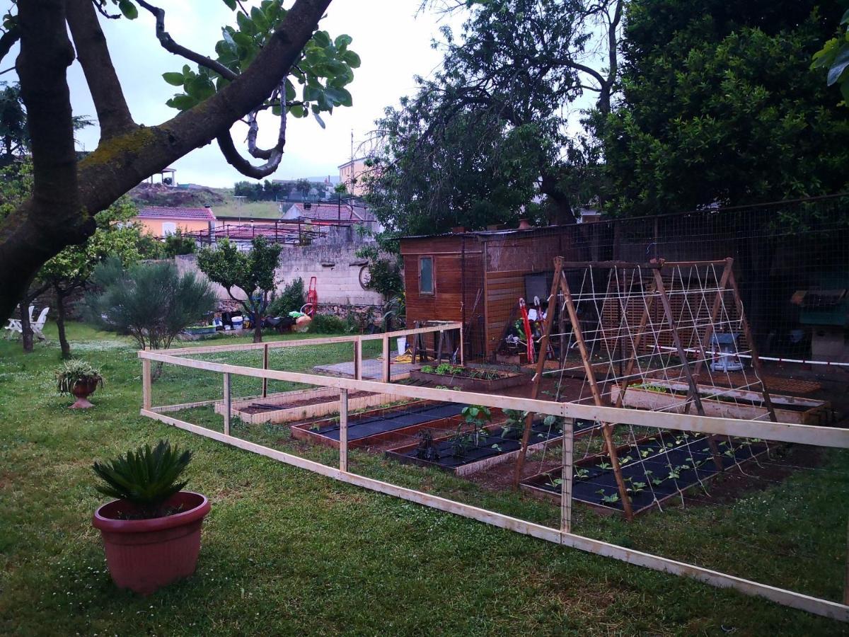 Zia Chiarina Bed & Breakfast San Nicolo Gerrei Dış mekan fotoğraf