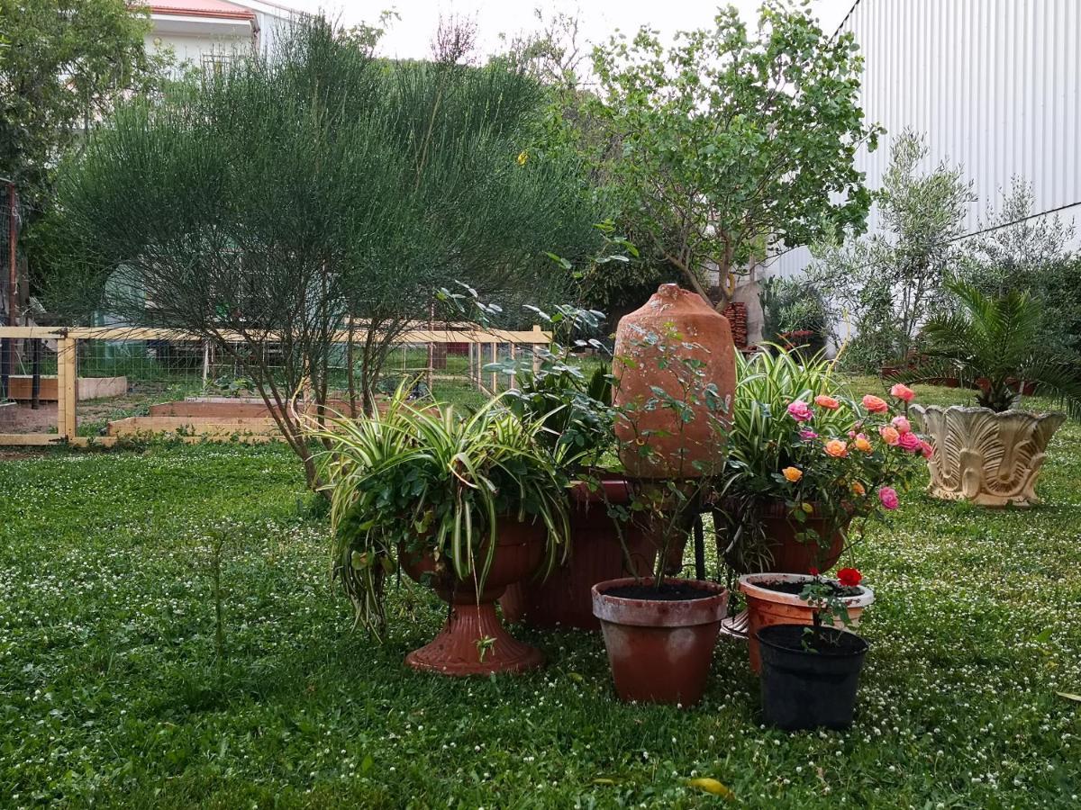 Zia Chiarina Bed & Breakfast San Nicolo Gerrei Dış mekan fotoğraf