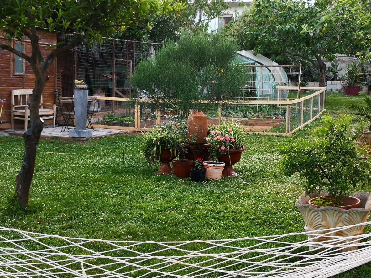 Zia Chiarina Bed & Breakfast San Nicolo Gerrei Dış mekan fotoğraf