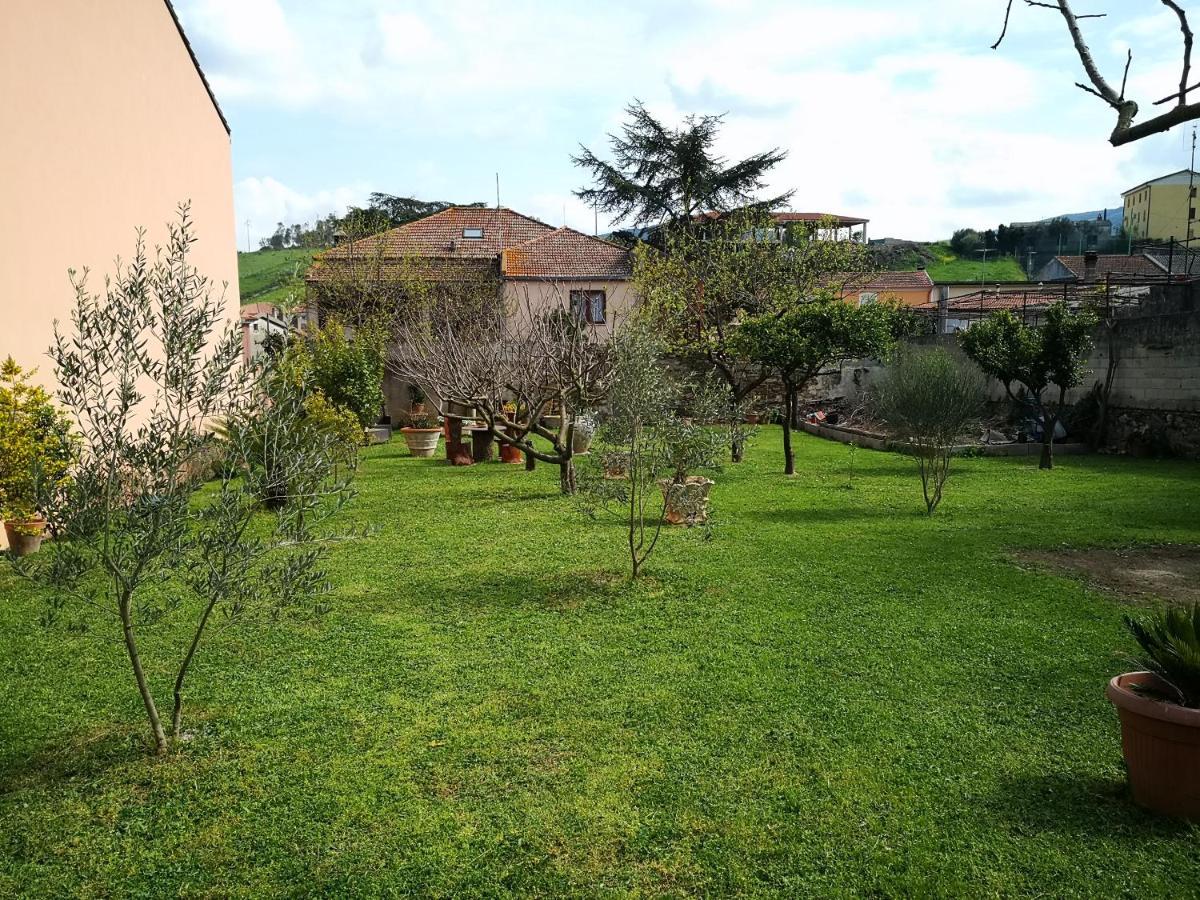 Zia Chiarina Bed & Breakfast San Nicolo Gerrei Dış mekan fotoğraf