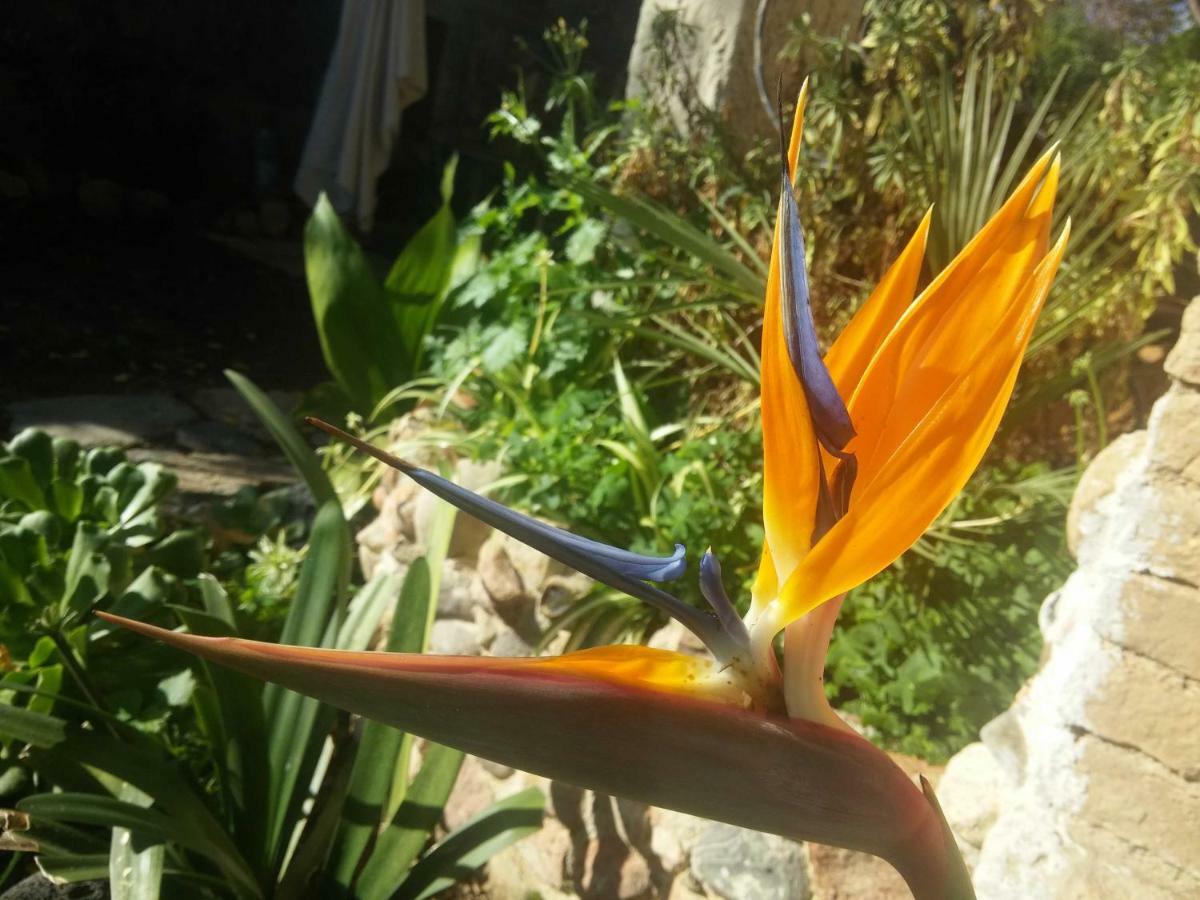 Zia Chiarina Bed & Breakfast San Nicolo Gerrei Dış mekan fotoğraf