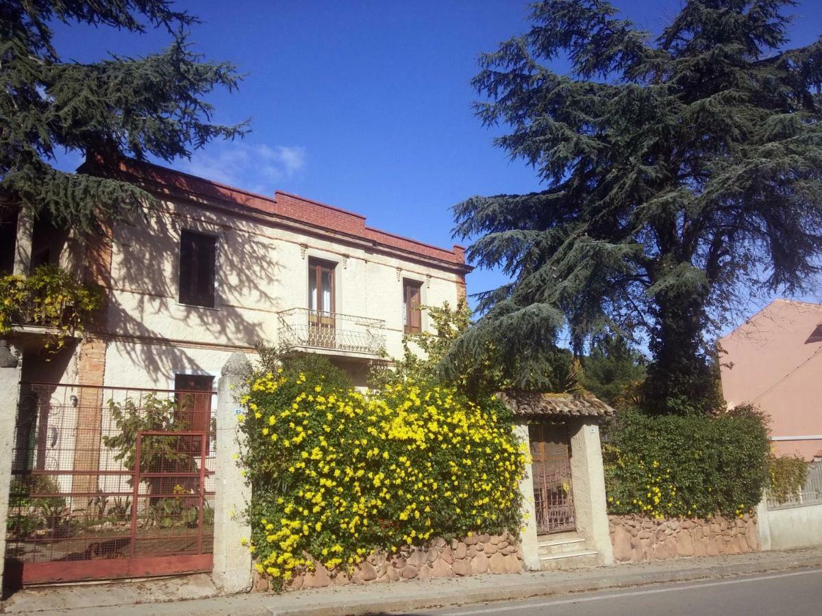 Zia Chiarina Bed & Breakfast San Nicolo Gerrei Dış mekan fotoğraf