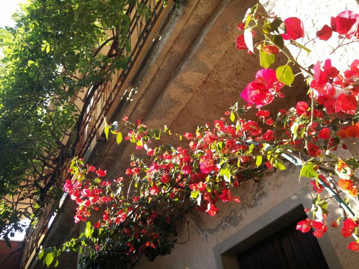 Zia Chiarina Bed & Breakfast San Nicolo Gerrei Dış mekan fotoğraf
