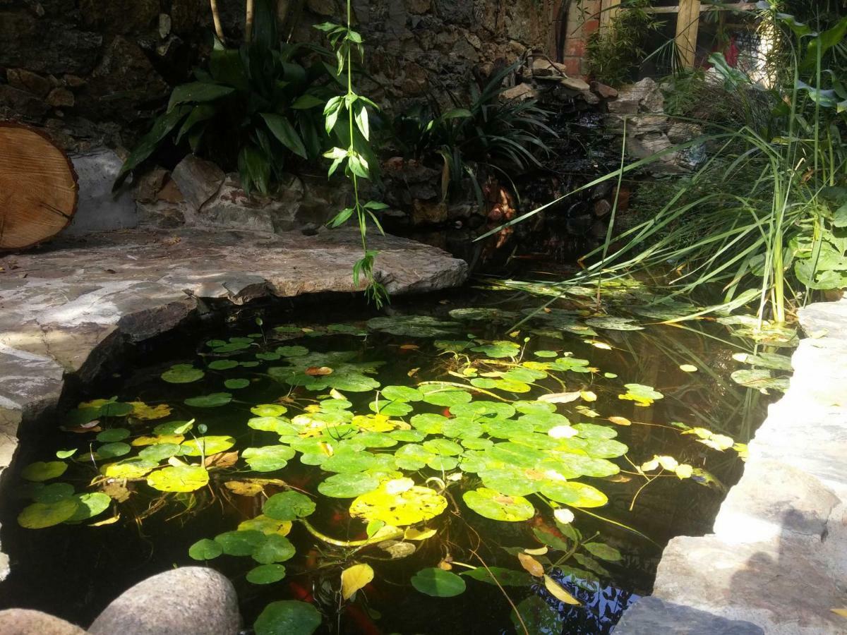 Zia Chiarina Bed & Breakfast San Nicolo Gerrei Dış mekan fotoğraf