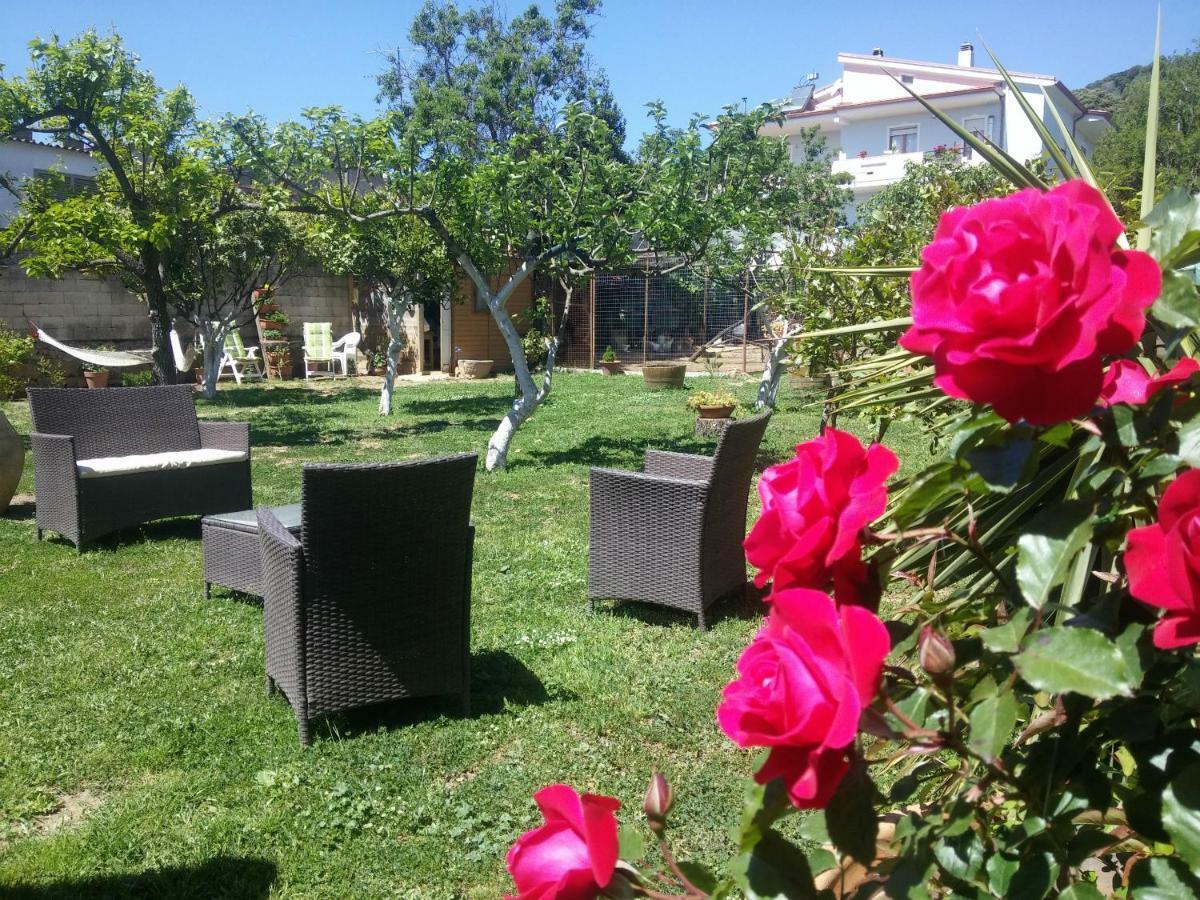 Zia Chiarina Bed & Breakfast San Nicolo Gerrei Dış mekan fotoğraf