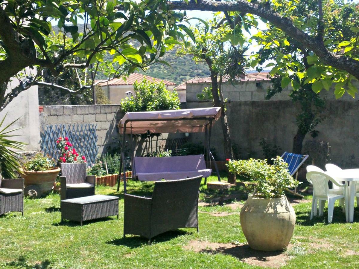 Zia Chiarina Bed & Breakfast San Nicolo Gerrei Dış mekan fotoğraf
