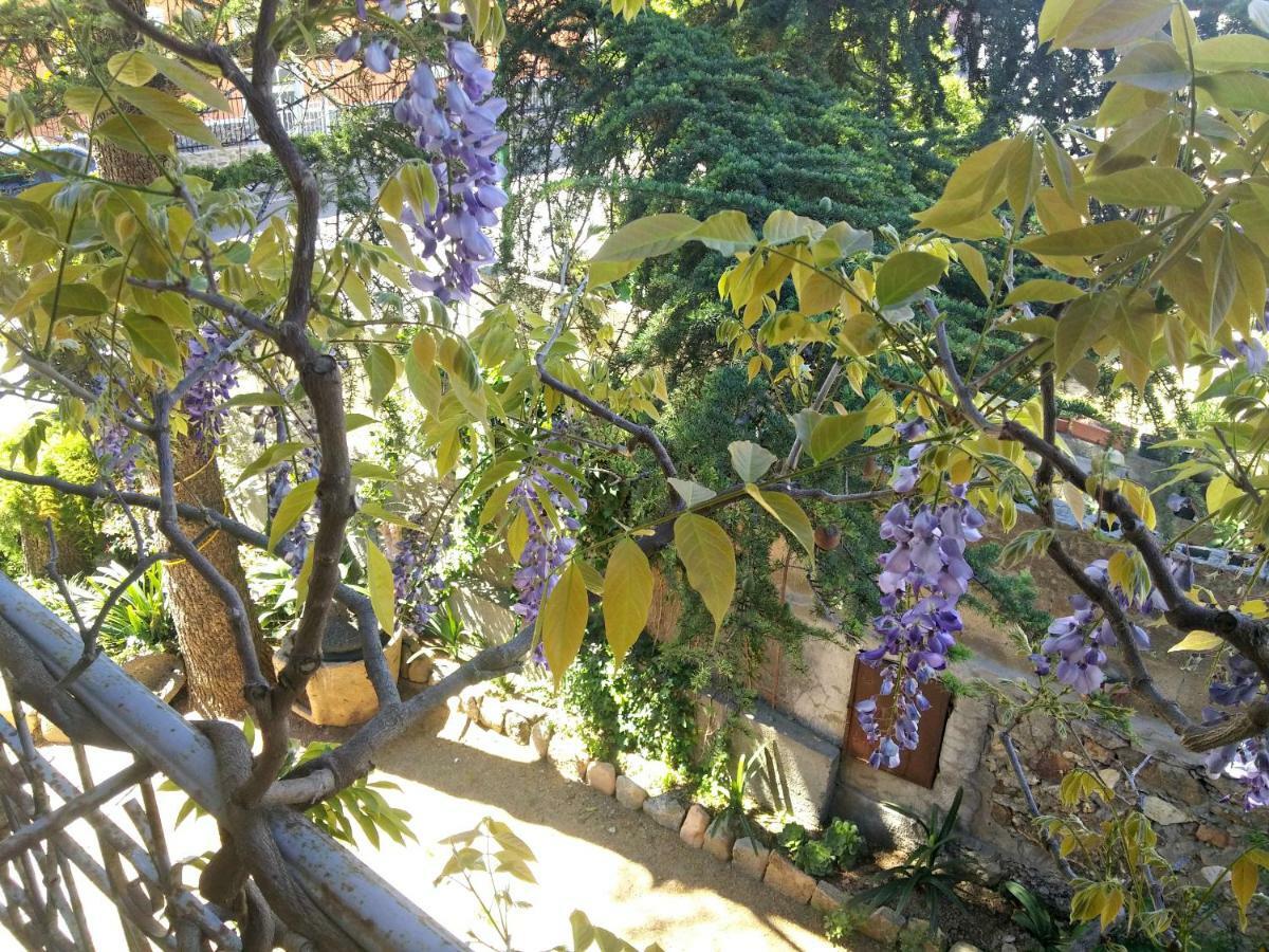 Zia Chiarina Bed & Breakfast San Nicolo Gerrei Dış mekan fotoğraf