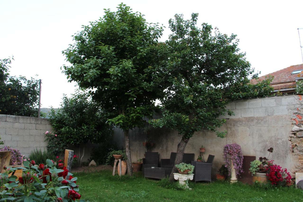 Zia Chiarina Bed & Breakfast San Nicolo Gerrei Dış mekan fotoğraf